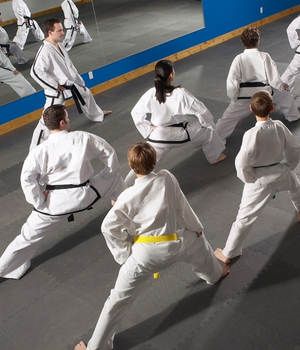 Artes marciales - flexibilidad y prevención de lesiones en Dolorfin