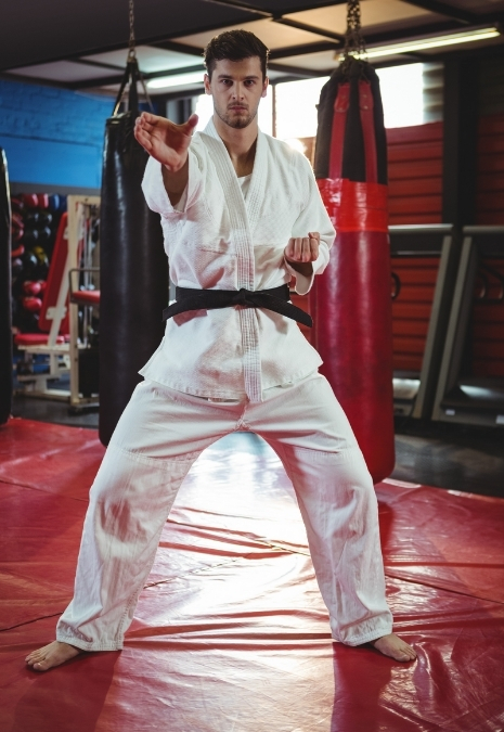 Taekwondo y fisioterapia en Dolorfin