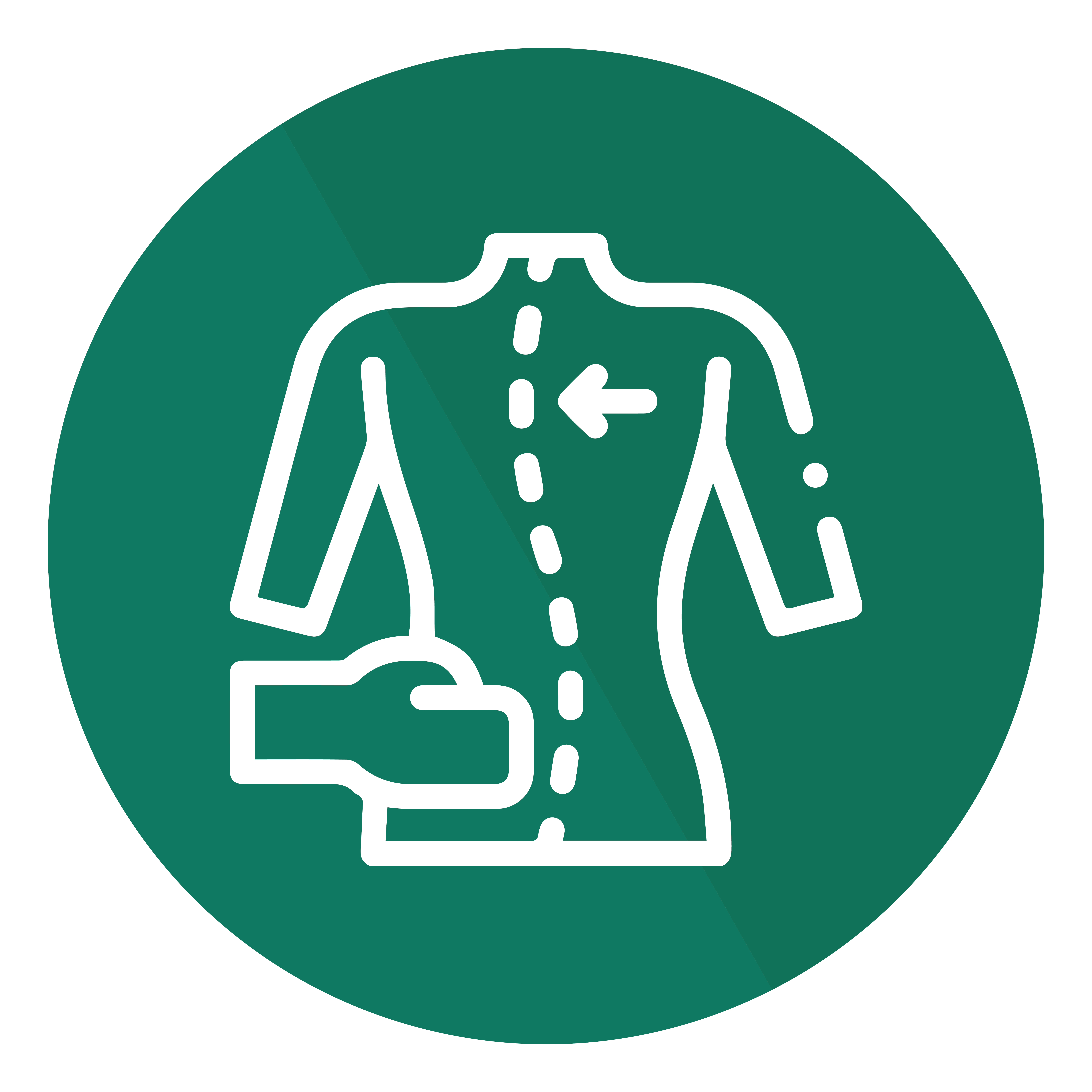 Quiropraxia (Ajustes quiroprácticos) en Dolorfin