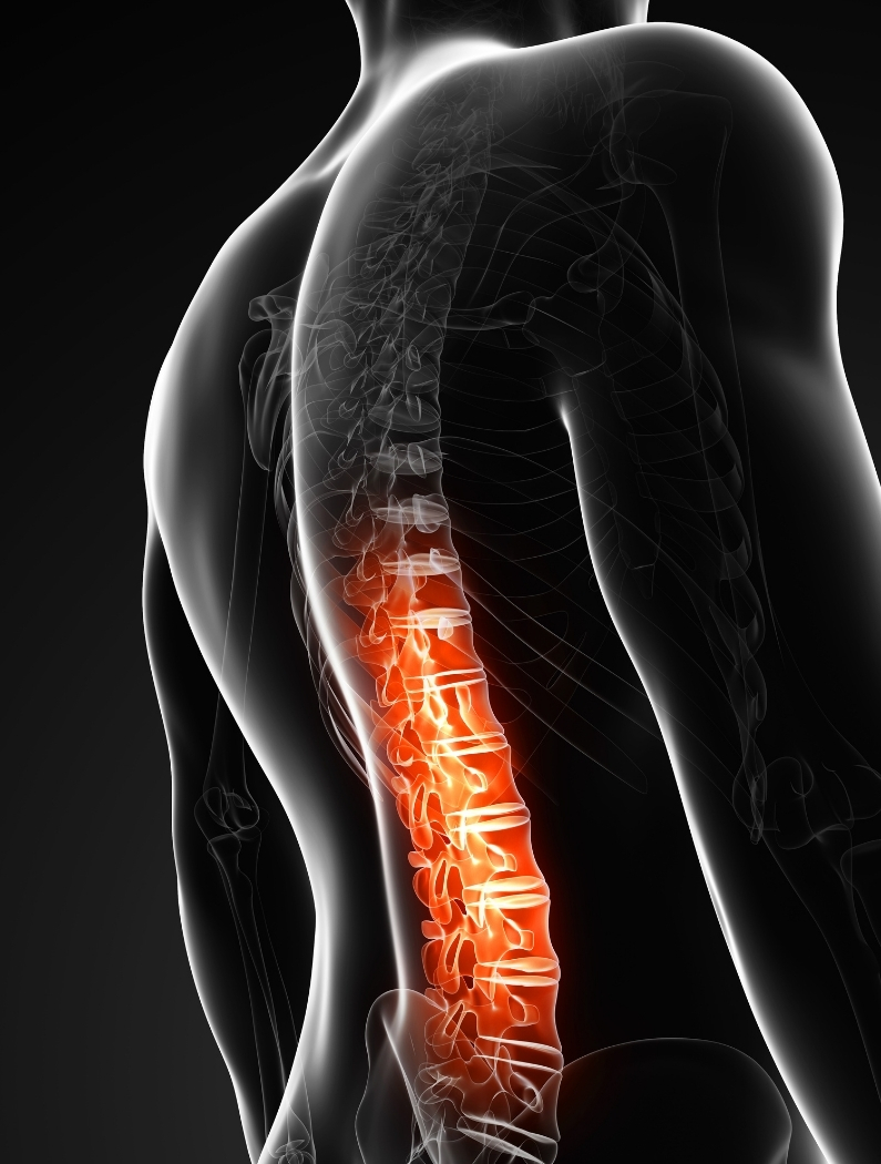 Zona lumbar y postura – Dolorfin